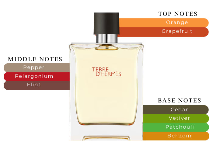 OUR VERSION OF TERRE D HERMES