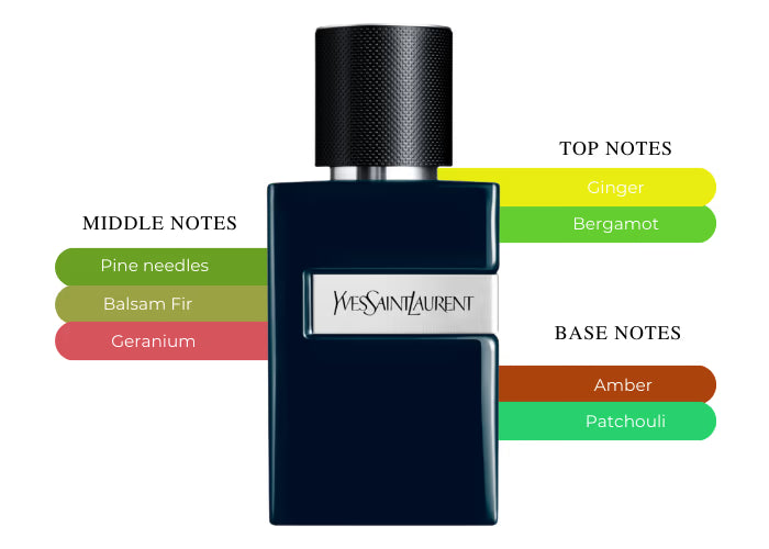 OUR VERSION OF YSL Y